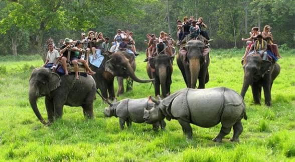 Chitwan wildlife safari