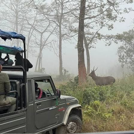 Chitwan-Lumbini-Pokhara journey