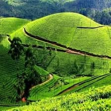 Ilam journey
