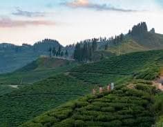 Ilam journey