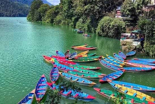 Chitwan-Lumbini-Pokhara journey
