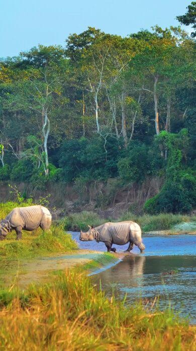 Chitwan jungle landscapes